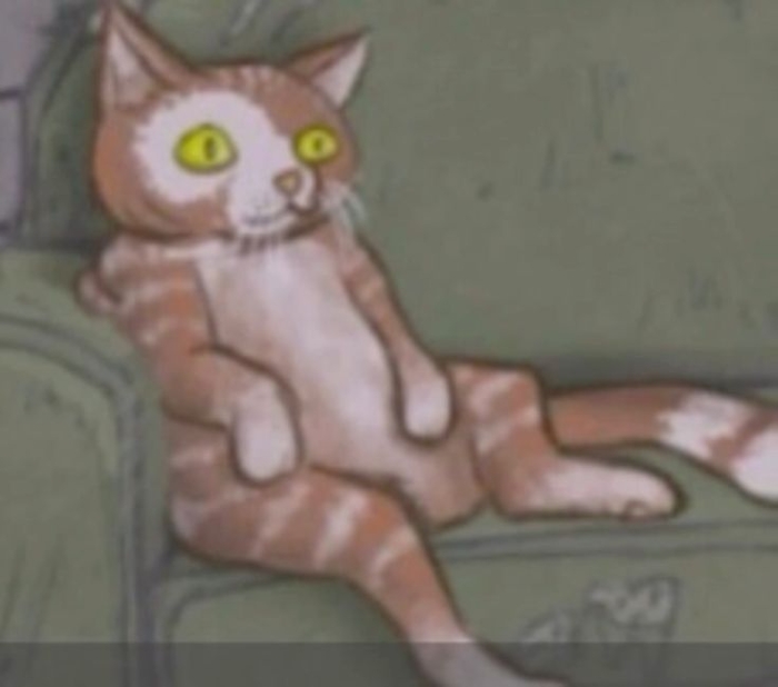 Sal's cat Gizmo